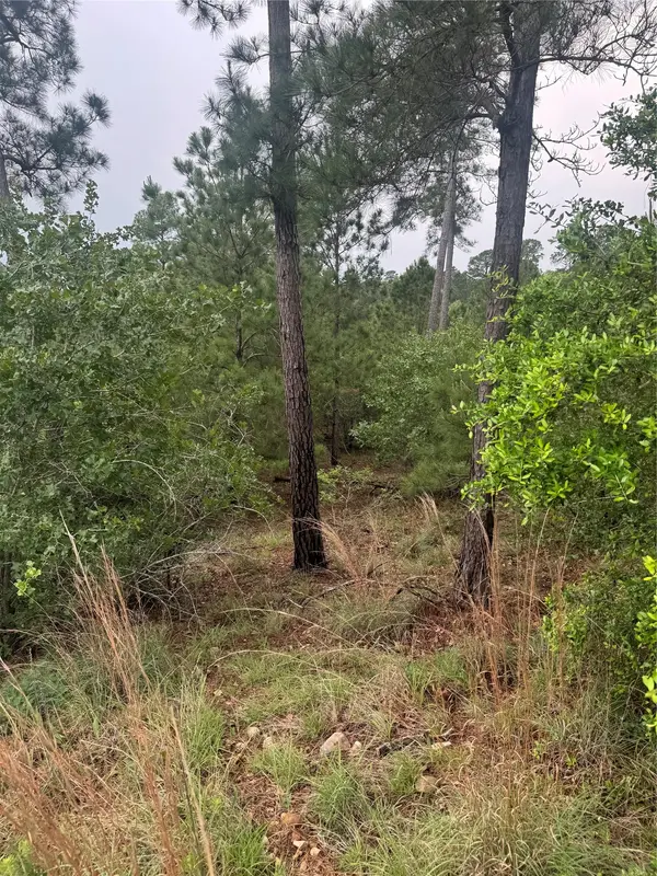 Lots 1612, 1613, 1614 Kaanapali LN, Bastrop, TX 78602