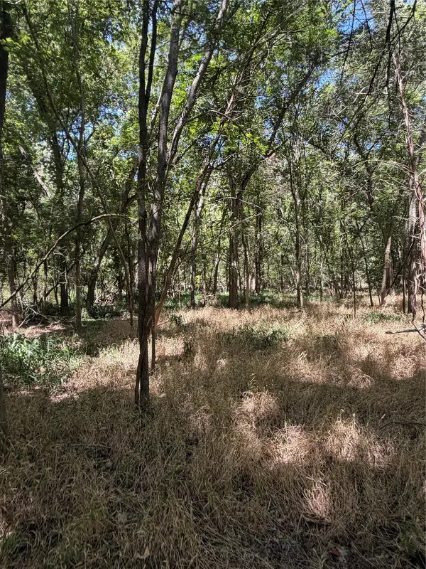 Lot 677 Kaukonahua LN, Bastrop, TX 78602