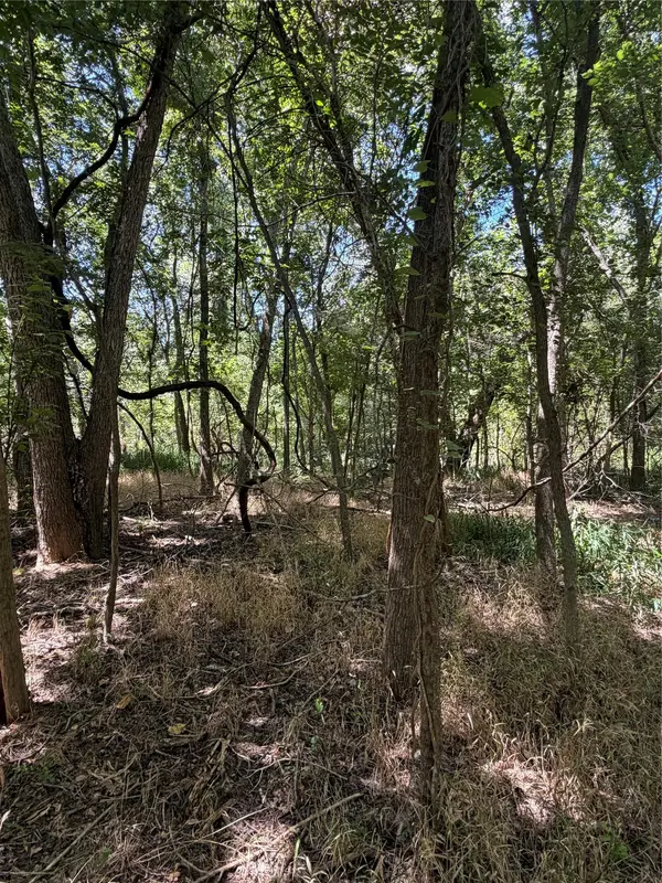 Lot 677 Kaukonahua LN, Bastrop, TX 78602