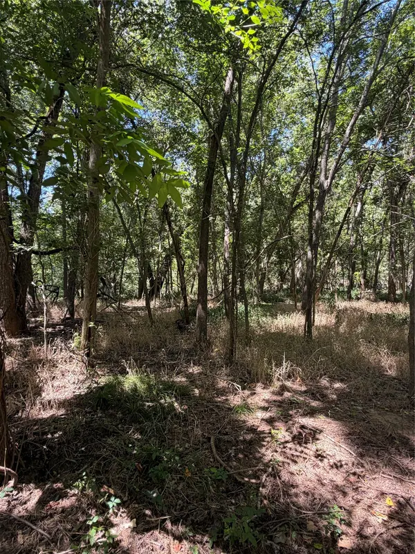 Lot 677 Kaukonahua LN, Bastrop, TX 78602