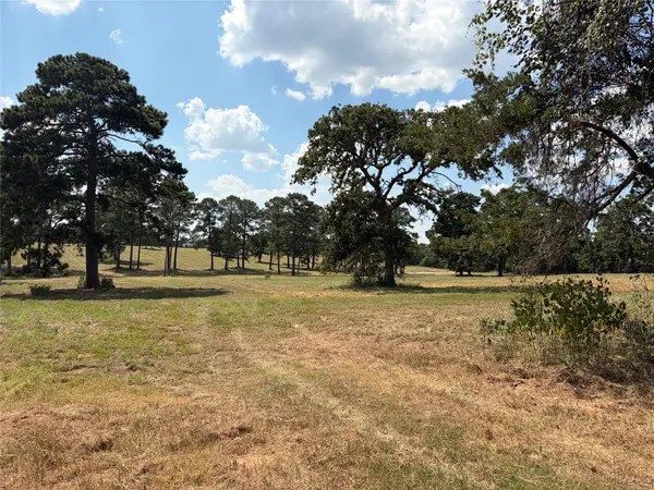 170 Split Oak RD, Smithville, TX 78957