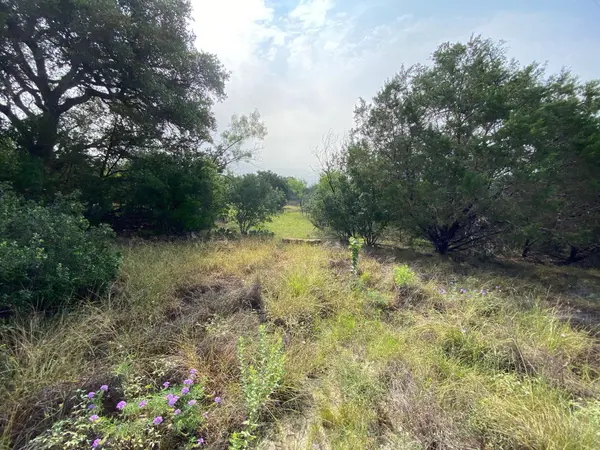 Lot 32 Pedernales Oaks DR, Johnson City, TX 76636