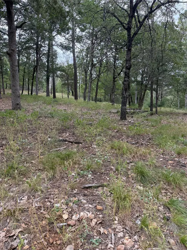 Lot 291 Aka CT, Bastrop, TX 78602
