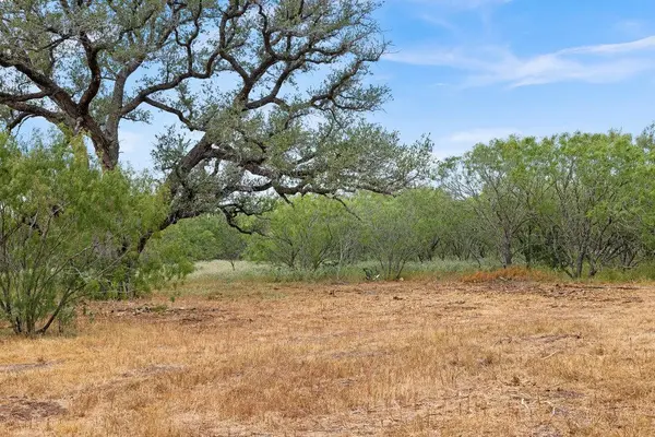 TBD CR 171, Nixon, TX 78140
