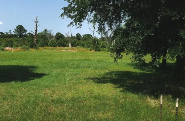 240 Pine Valley DR, Paige, TX 78659