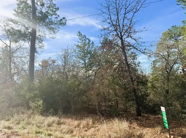 106 Olomana CT, Bastrop, TX 78602