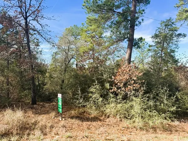 106 Olomana CT, Bastrop, TX 78602