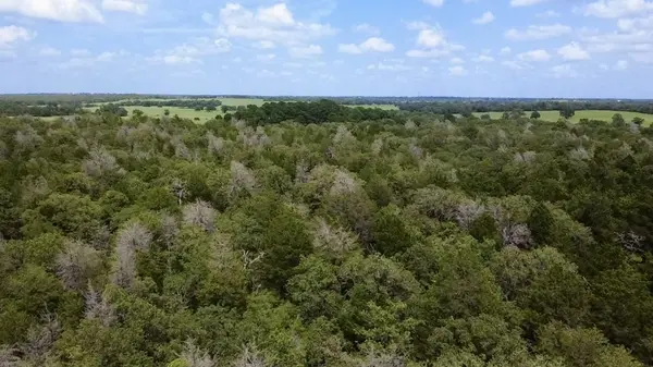 TBD County Road 337, Lexington, TX 78947