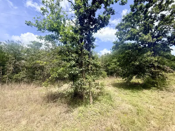 TBD County Road 337, Lexington, TX 78947