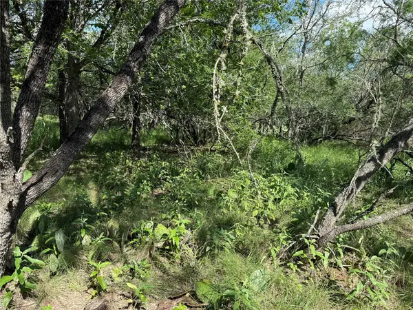 232 Mokulua LN, Bastrop, TX 78602