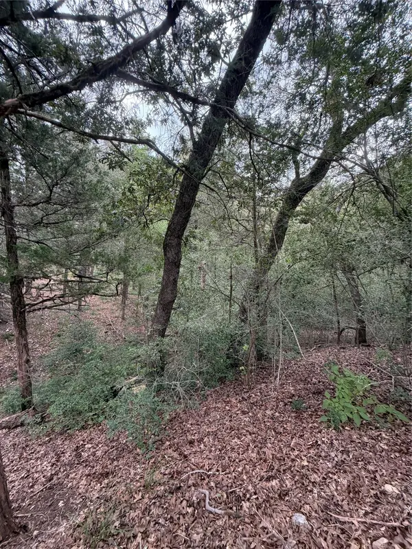 Lot 293 Aka CT, Bastrop, TX 78602