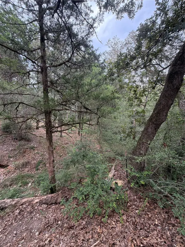 Lot 293 Aka CT, Bastrop, TX 78602