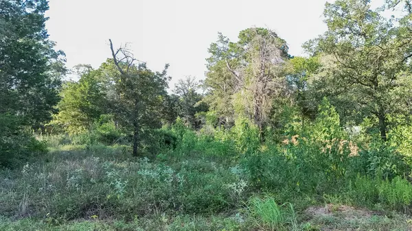 000 Flint Ridge ST, Bastrop, TX 78602