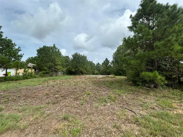158 Cardinal LOOP, Paige, TX 78659