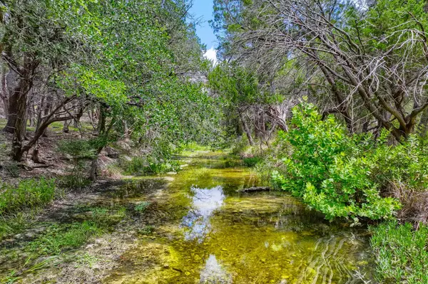 12501 Fitzhugh RD, Austin, TX 78736