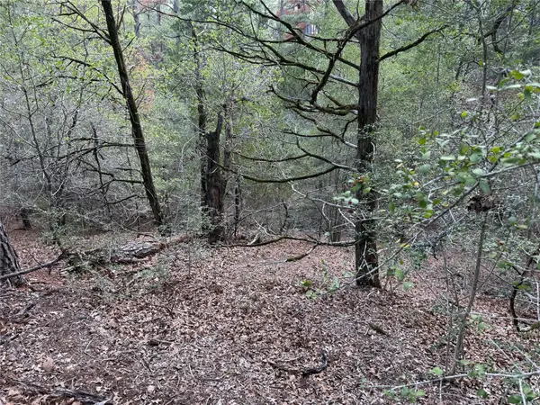 125 Lamaloa LN, Bastrop, TX 78602