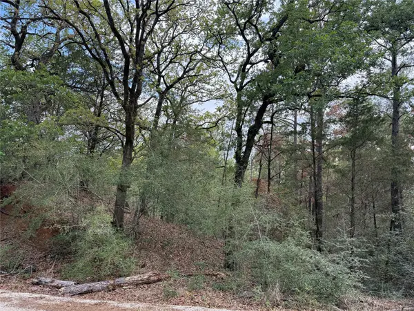 125 Lamaloa LN, Bastrop, TX 78602