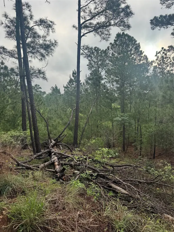 Lots 1490, 1491, 1492 Haleakala, Bastrop, TX 78602