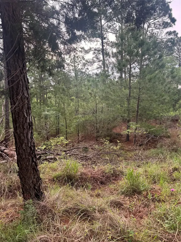 Lots 1490, 1491, 1492 Haleakala, Bastrop, TX 78602