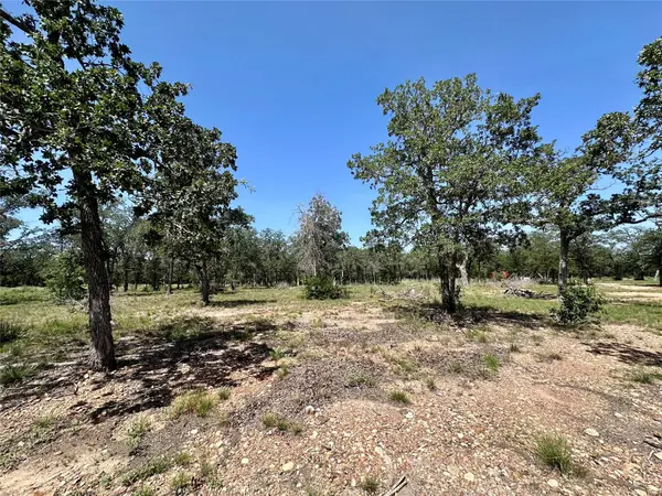 TBD Edgewood TRL, Paige, TX 78659