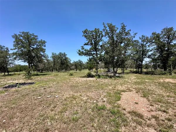 TBD Edgewood TRL, Paige, TX 78659