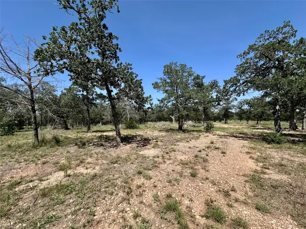 TBD Edgewood TRL, Paige, TX 78659
