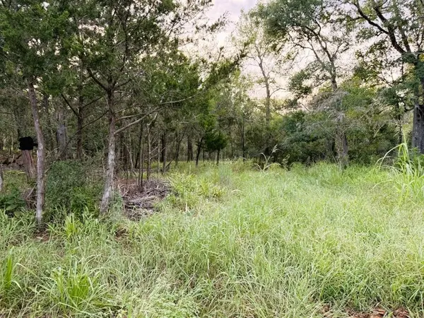 TBD Hilea Ct (lot 626) Hilea CT, Bastrop, TX 78602