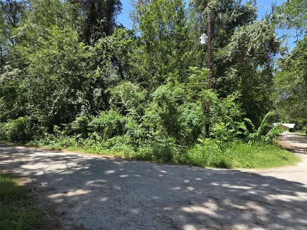 TBD Nancy  / Davis ST, Bastrop, TX 78602
