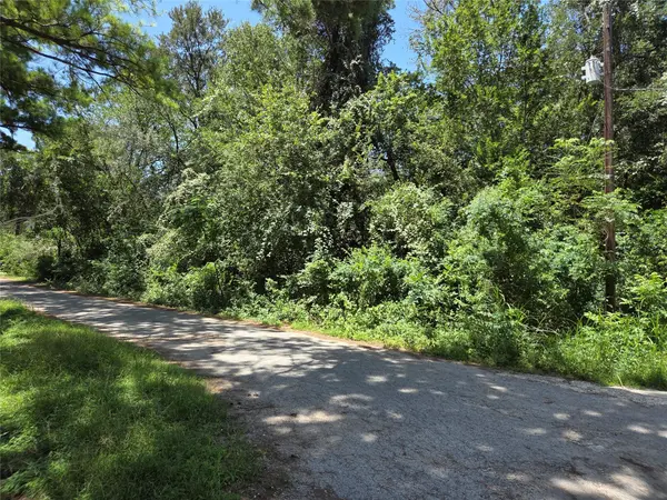 TBD Nancy  / Davis ST, Bastrop, TX 78602