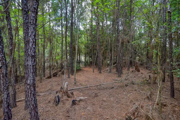 TBD Kipahulu DR #2, Bastrop, TX 78602