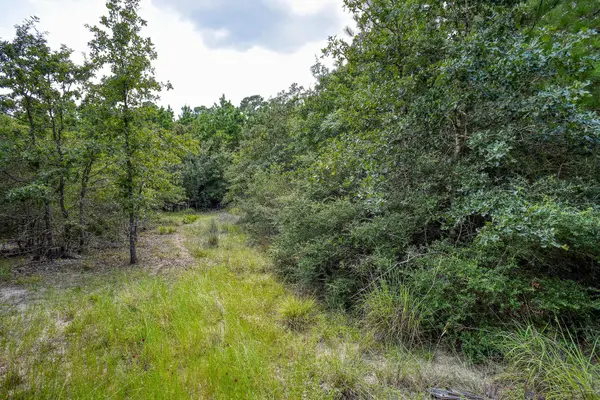 TBD Kipahulu DR #2, Bastrop, TX 78602
