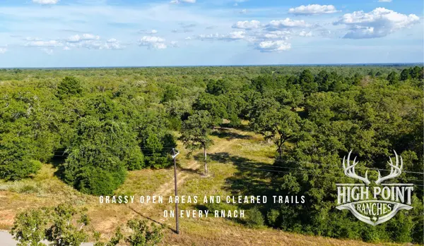 TBD Ranch Road off CR 405 (+/- 175 acres), Lexington, TX 78947