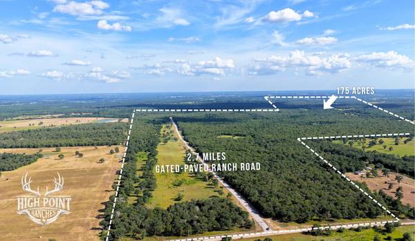 TBD Ranch Road off CR 405 (+/- 175 acres), Lexington, TX 78947