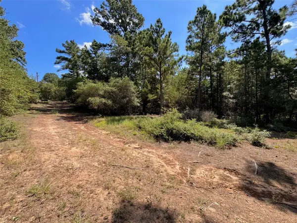 445 Pine Valley LOOP, Smithville, TX 78957