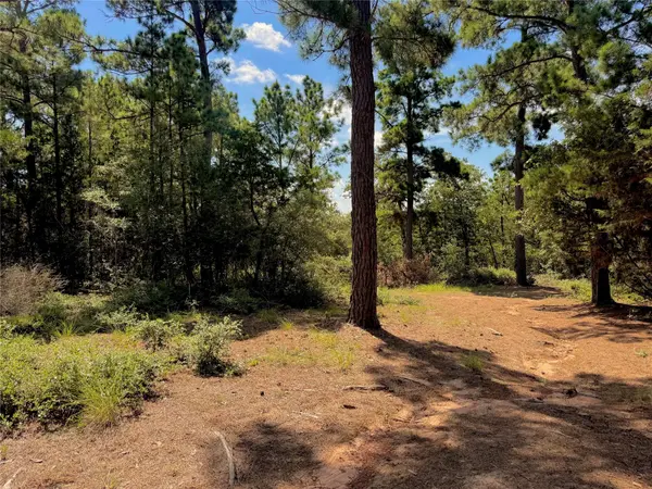 445 Pine Valley LOOP, Smithville, TX 78957