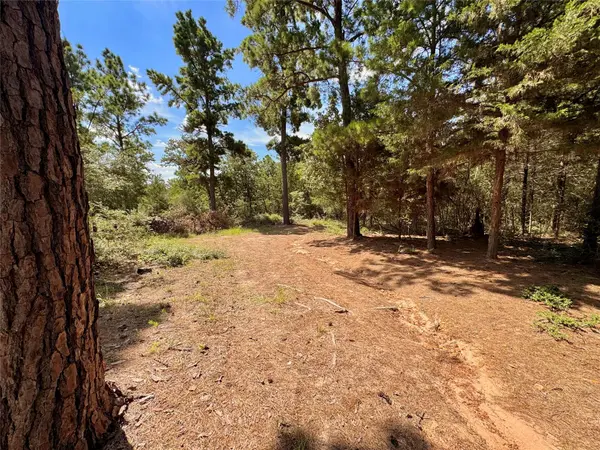 445 Pine Valley LOOP, Smithville, TX 78957