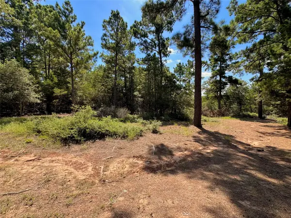 445 Pine Valley LOOP, Smithville, TX 78957