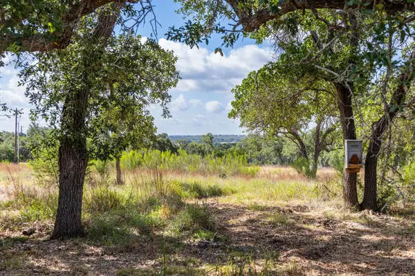 5385 Ranch Road 165, Blanco, TX 78606