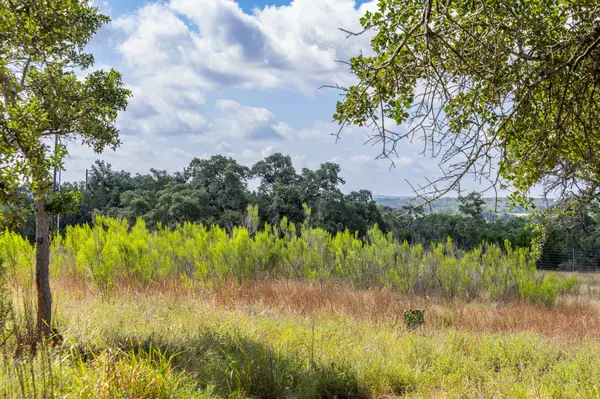 5385 Ranch Road 165, Blanco, TX 78606