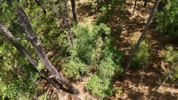 Lot 232 Hekili DR, Bastrop, TX 78602