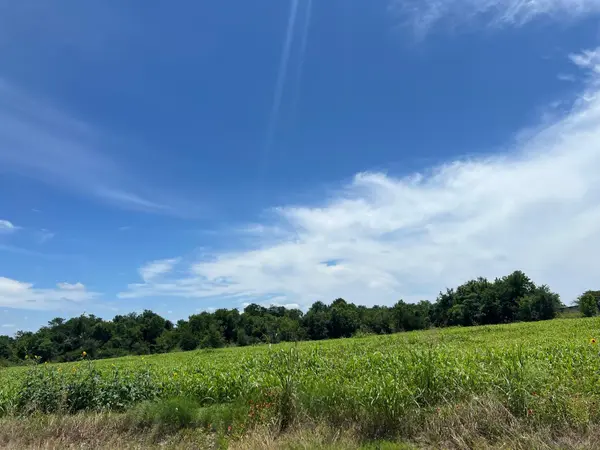65.47 acres CR 327 RD, Granger, TX 76530
