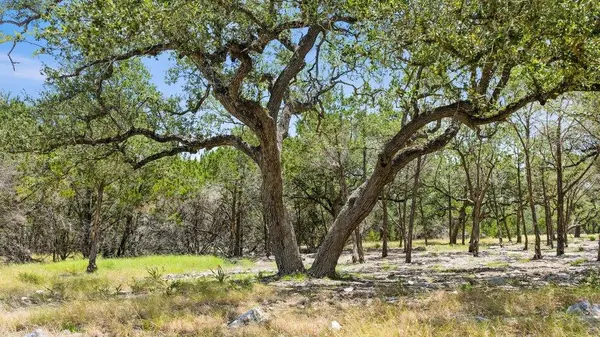Tract 5 Cypress Cove RD, Spring Branch, TX 78070