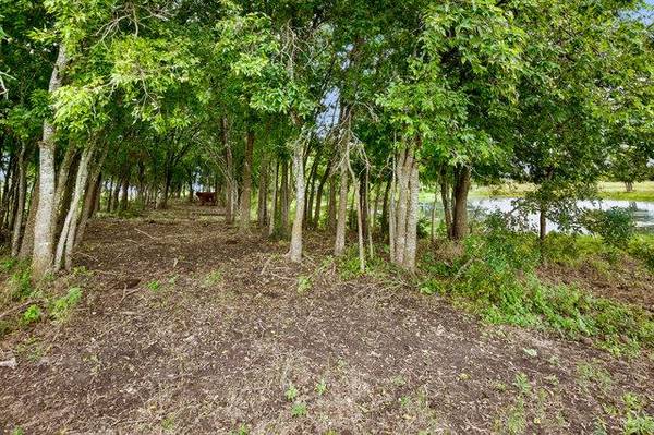 4021 E Fm 243, Bertram, TX 78605