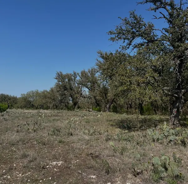Lot 42 Waterbuck WAY, Lampasas, TX 76550