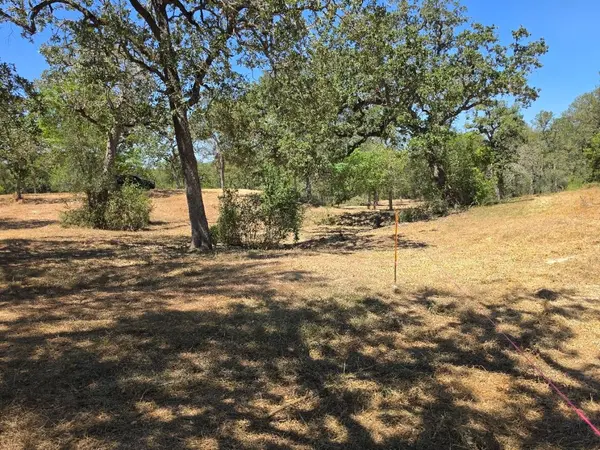 183 Wilbarger CV, Elgin, TX 78621