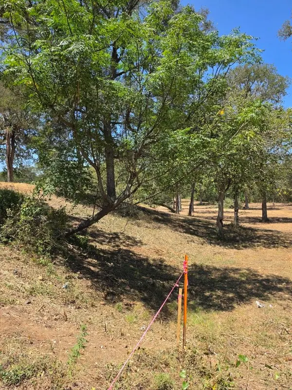 183 Wilbarger CV, Elgin, TX 78621