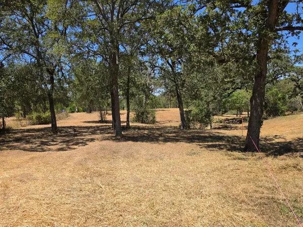 183 Wilbarger CV, Elgin, TX 78621