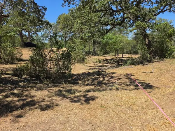183 Wilbarger CV, Elgin, TX 78621