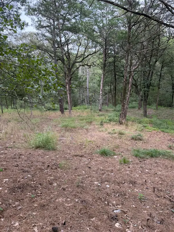 Lot 292 Aka CT, Bastrop, TX 78602