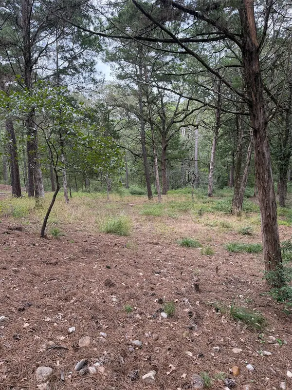 Lot 292 Aka CT, Bastrop, TX 78602